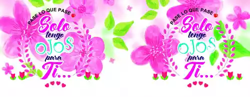 vectores plantilas AMOR,AMISTAD,FESTEJO,